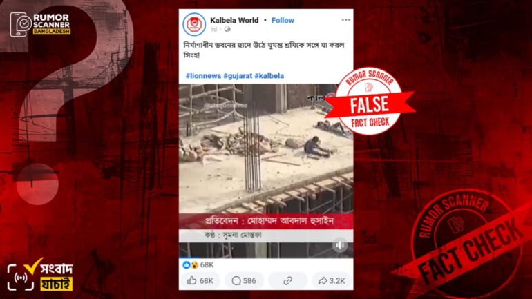 এআই তৈরি ভিডিওকে ভারতের গুজরাটে নির্মাণাধীন ভবনের ছাদে সিংহ উঠার আসল ভিডিও দাবিতে প্রচার